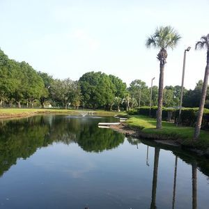 Meet your Posher, Esther