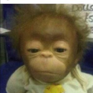 Meet your Posher, Judith