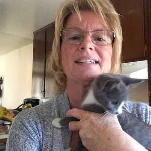 Meet your Posher, Sheryl