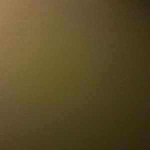 Meet your Posher, Dena