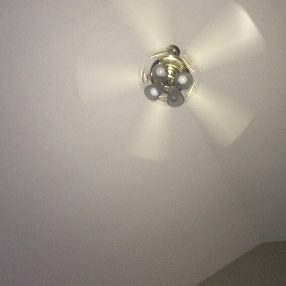 Meet your Posher, Gavin - Picture 1 of 1