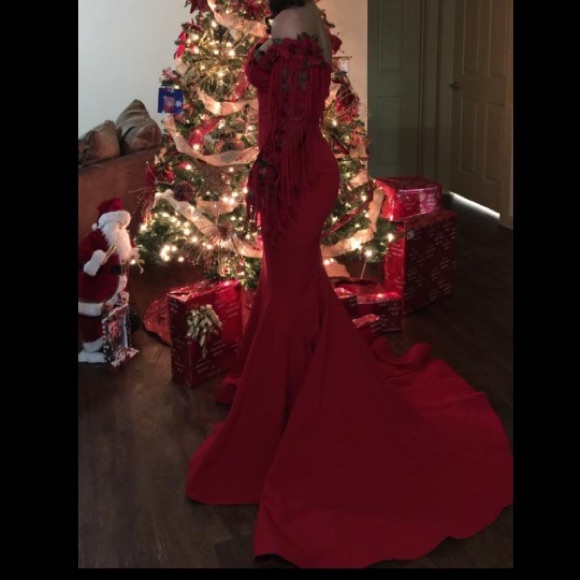 Red rose mnm coutour dress