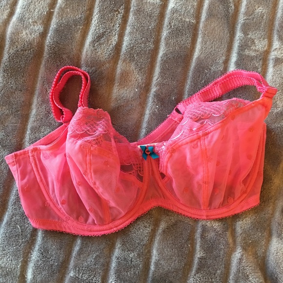 Panache Cleo Marcie 36E like new Bra