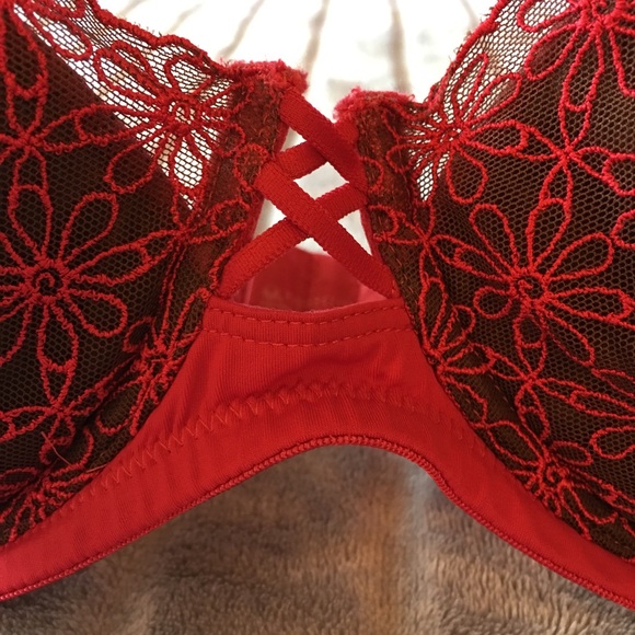 Vassarette 36DD Bra Red Lace Very Sexy 😍 - Picture 2 of 4