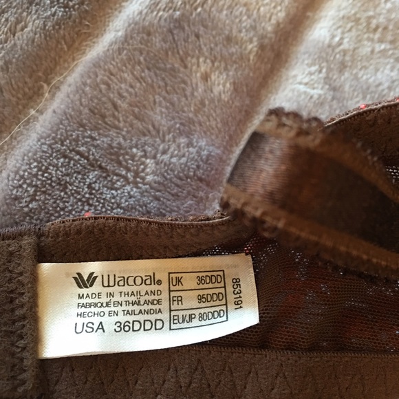 Wacoal 36DDD mocha with lace in like new condition - Picture 2 of 4