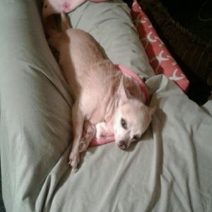 Meet your Posher, Jackie