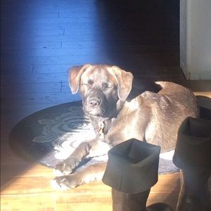 Meet your Posher, Kathryn