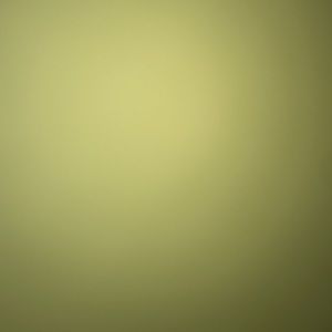 Meet your Posher, Rio