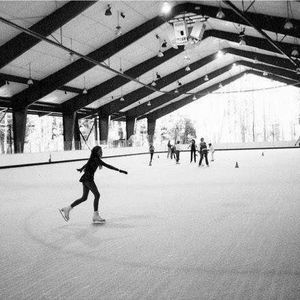 Meet your Posher, Holly