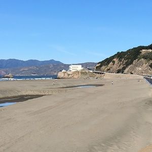 Meet your Posher, Rose