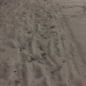 Meet your Posher, Bubba