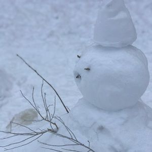 Meet your Posher, Anita