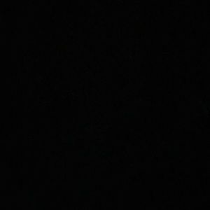 Meet your Posher, Rose