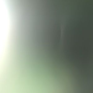 Meet your Posher, Max