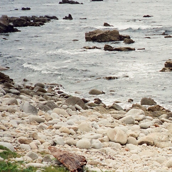 Meet your Posher, Emma