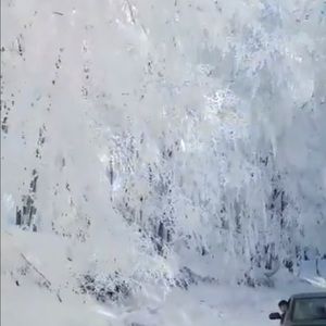 Meet your Posher, Samuel