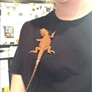 Meet your Posher, Summer