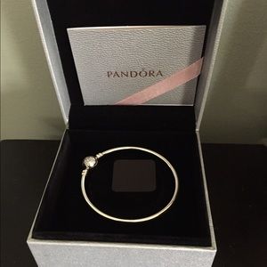 Limited Edition Pandora Bangle Bracelet