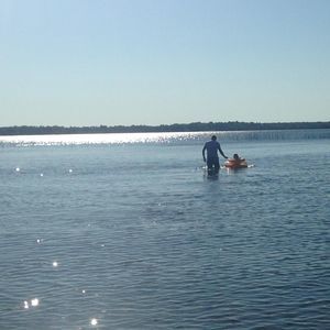 Meet your Posher, Km