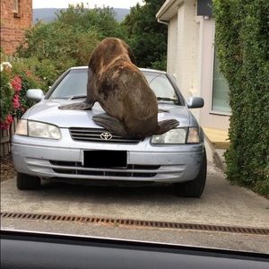 Meet your Posher, Evan