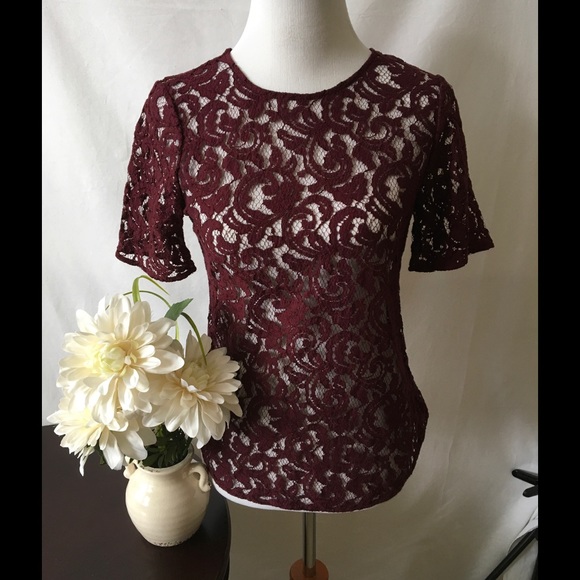 Gorgeous Lace Top