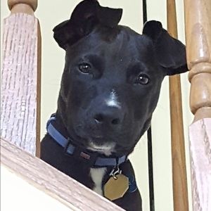 Meet your Posher, Denise