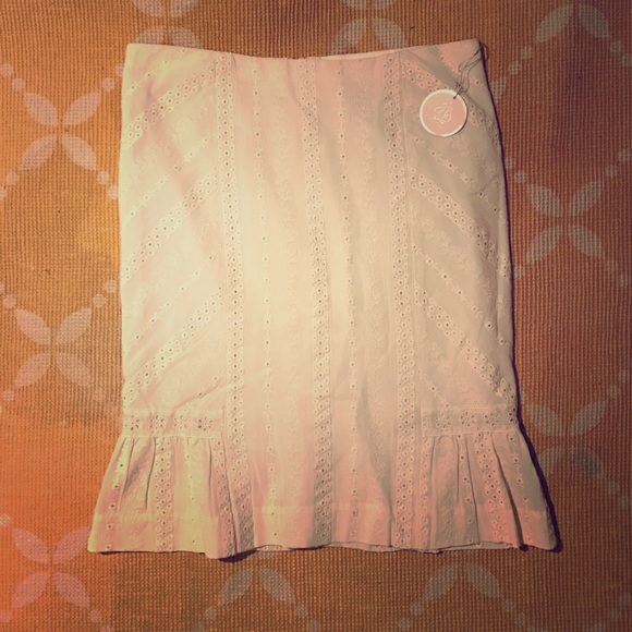 NWT Rebecca taylor eyelet skirt FINAL - Picture 1 of 4
