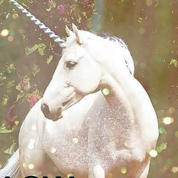 Meet Your Posher 💎 Dee 💎 - Picture 3 of 4