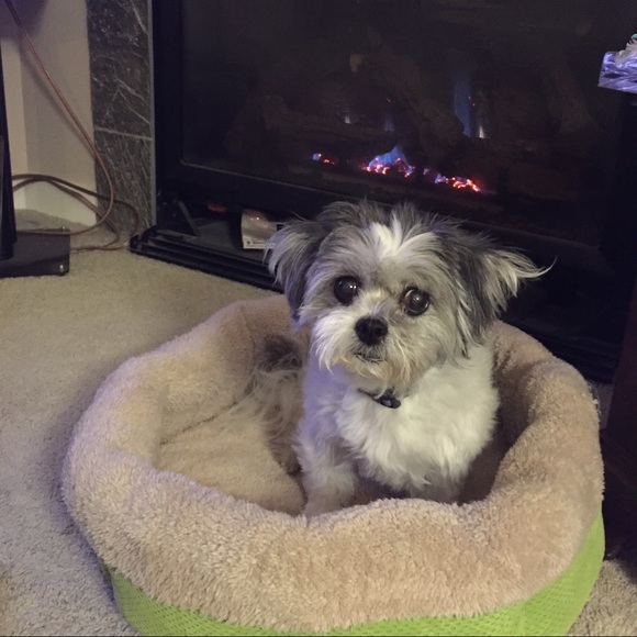 Meet your Posher, Kristine