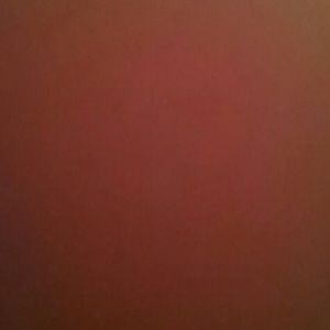 Meet your Posher, Winter