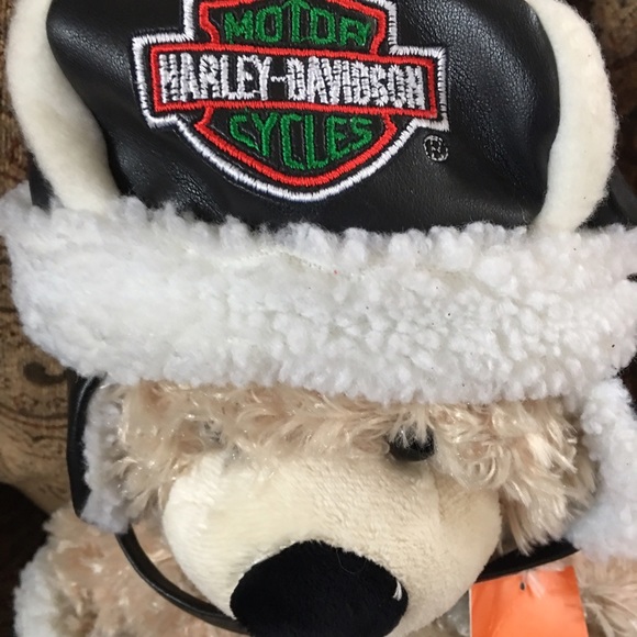 Nice 🐻 - Picture 3 of 4