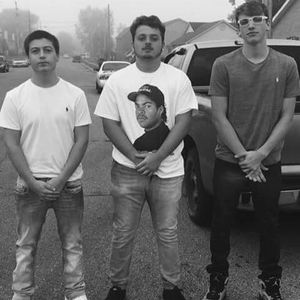 Meet your Posher, Bradey