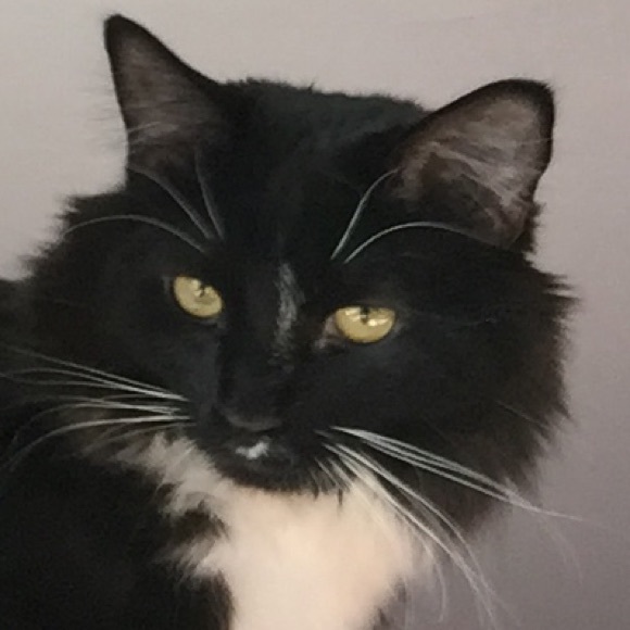 MOM'S A POSH AMBASSADOR! - Picture 1 of 4