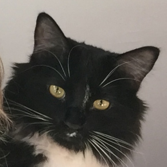 MOM'S A POSH AMBASSADOR! - Picture 4 of 4