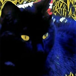 Meet your Posher, Robyn