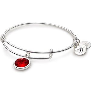 Alex and Ani Birthstone