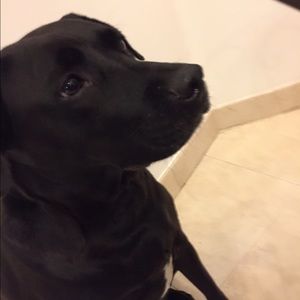 Meet your Posher, Celia