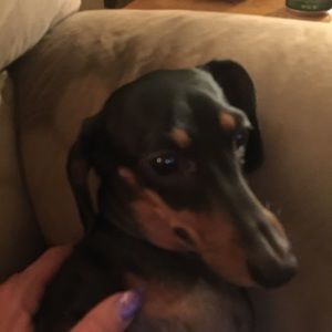 Meet your Posher, Sharon