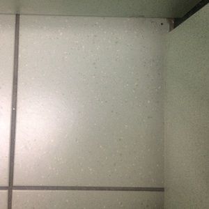 Meet your Posher, Dunshay