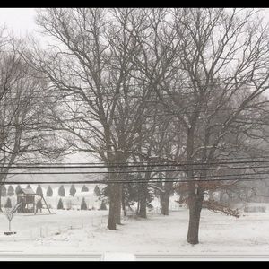 Meet your Posher, Renata