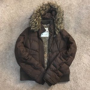 Hollister winter coat