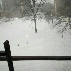 Meet your Posher, Alesha