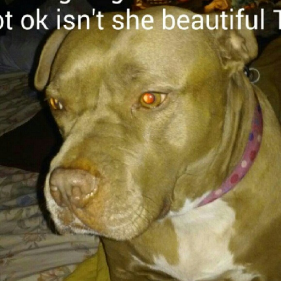 Lucy girl