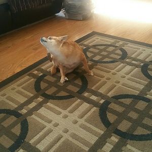 Meet your Posher, Karen