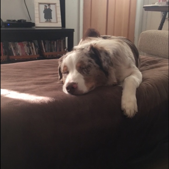 Meet your Posher, Emily - Picture 1 of 1