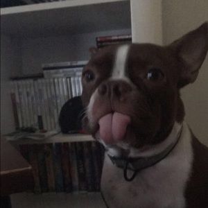 Meet your Posher, Liz