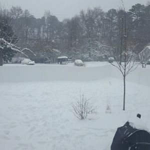 Meet your Posher, Daphne