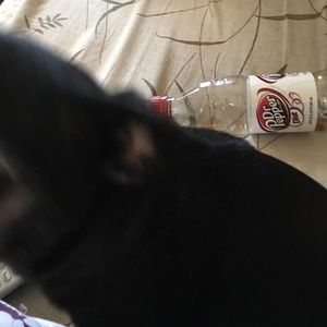 Meet your Posher, Shari