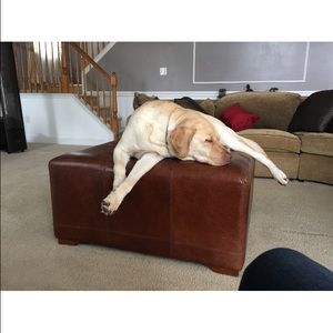 Meet your Posher, Snowden