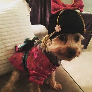 Meet your Posher, Katie